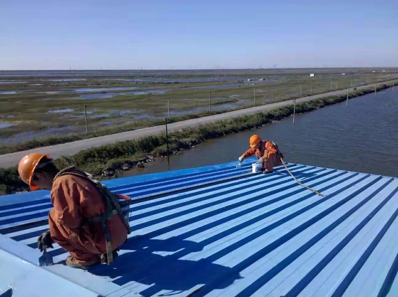 牡丹钢结构屋面漏水原因